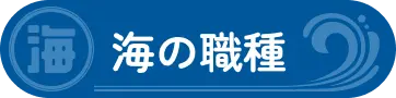 海の職種