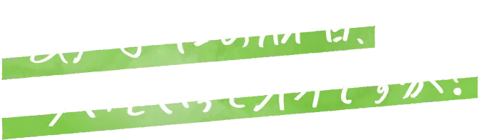 あなたの休日、ついていってイイですか？
